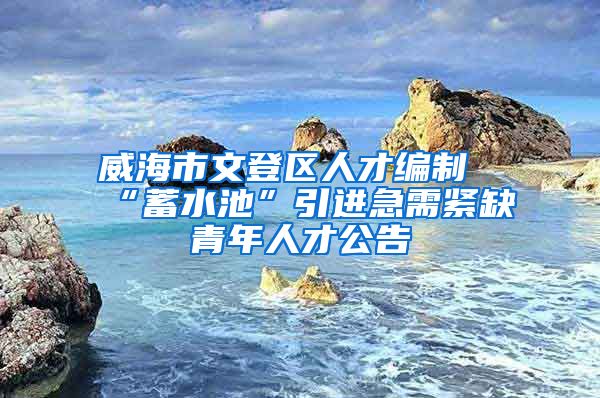 威海市文登区人才编制“蓄水池”引进急需紧缺青年人才公告