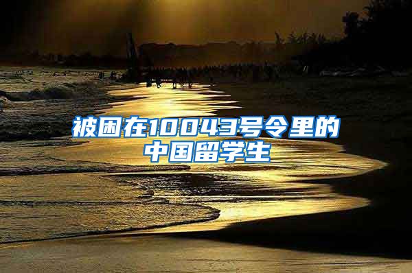 被困在10043号令里的中国留学生