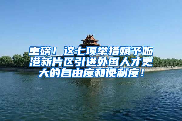 重磅！这七项举措赋予临港新片区引进外国人才更大的自由度和便利度！