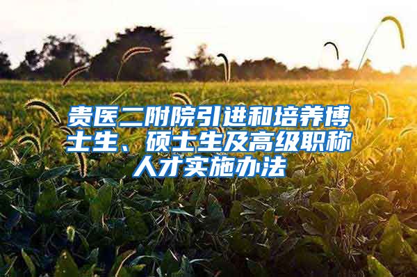 贵医二附院引进和培养博士生、硕士生及高级职称人才实施办法