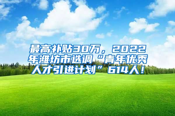 最高补贴30万，2022年潍坊市选调“青年优秀人才引进计划”614人！