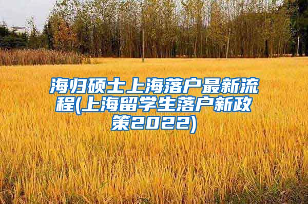 海归硕士上海落户最新流程(上海留学生落户新政策2022)