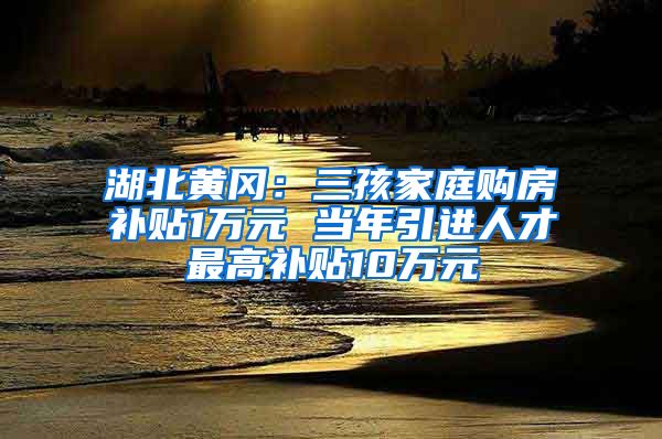 湖北黄冈：三孩家庭购房补贴1万元 当年引进人才最高补贴10万元