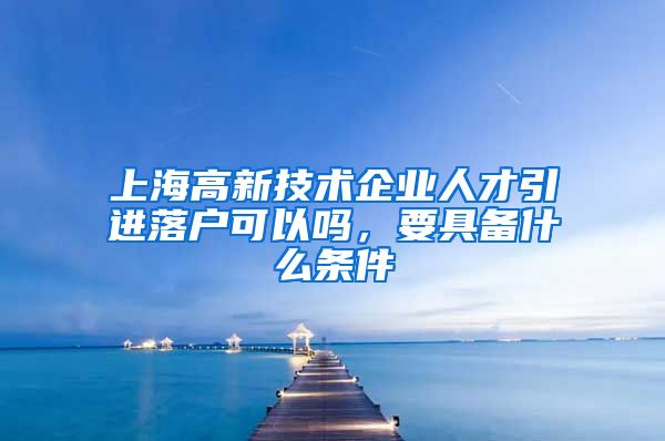 上海高新技术企业人才引进落户可以吗，要具备什么条件