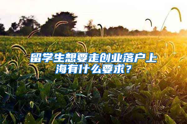 留学生想要走创业落户上海有什么要求？