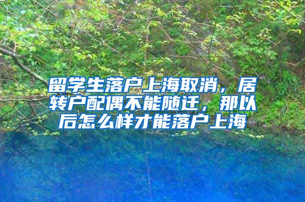 留学生落户上海取消，居转户配偶不能随迁，那以后怎么样才能落户上海