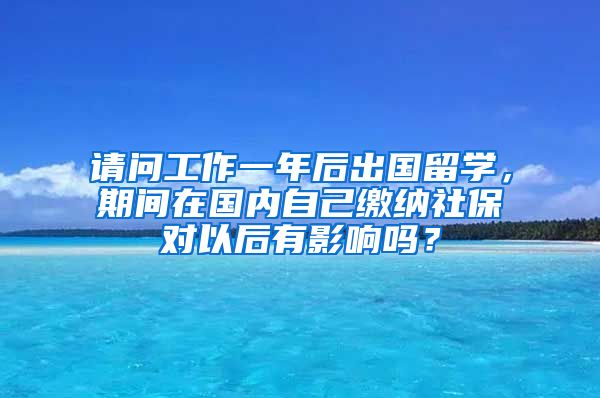 请问工作一年后出国留学，期间在国内自己缴纳社保对以后有影响吗？