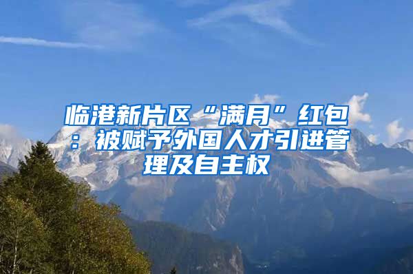 临港新片区“满月”红包：被赋予外国人才引进管理及自主权