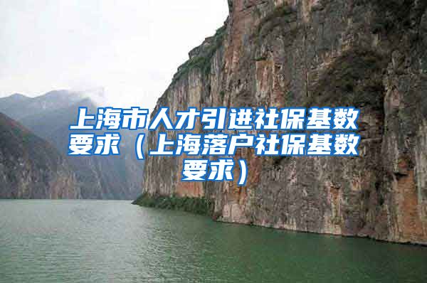 上海市人才引进社保基数要求（上海落户社保基数要求）