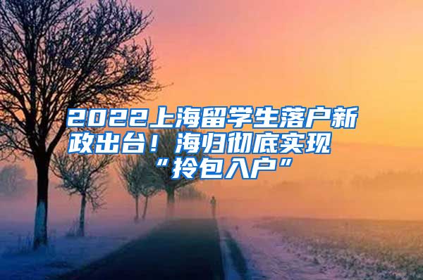 2022上海留学生落户新政出台！海归彻底实现“拎包入户”