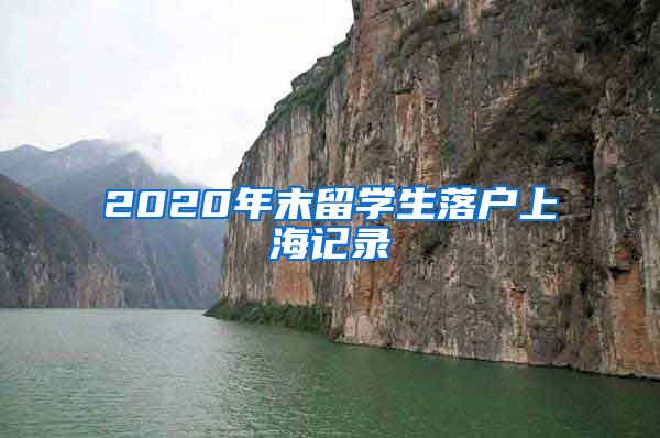 2020年末留学生落户上海记录