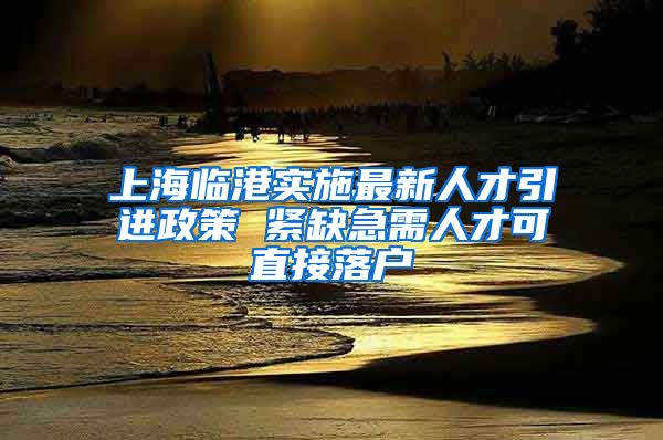 上海临港实施最新人才引进政策 紧缺急需人才可直接落户