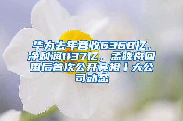 华为去年营收6368亿、净利润1137亿，孟晚舟回国后首次公开亮相丨大公司动态