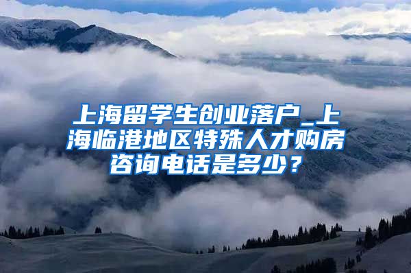 上海留学生创业落户_上海临港地区特殊人才购房咨询电话是多少？