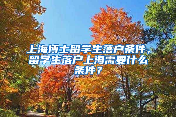 上海博士留学生落户条件，留学生落户上海需要什么条件？