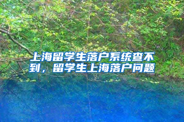 上海留学生落户系统查不到，留学生上海落户问题