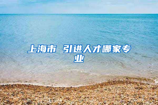 上海市 引进人才哪家专业