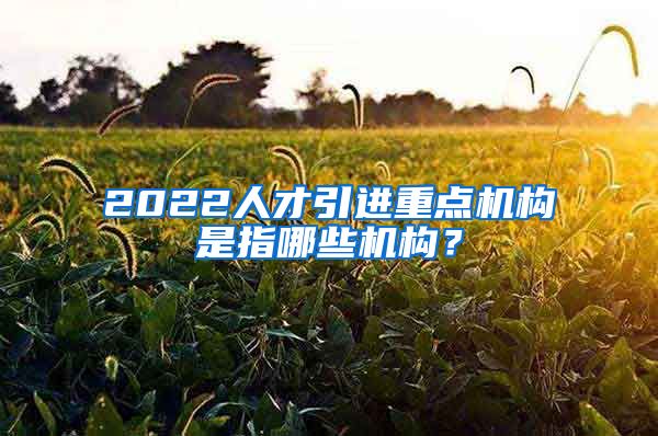 2022人才引进重点机构是指哪些机构？