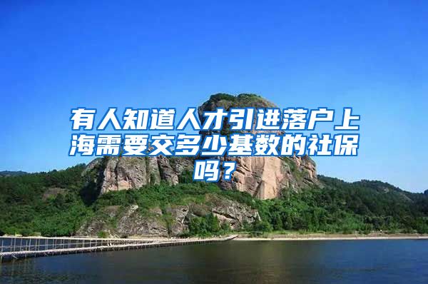 有人知道人才引进落户上海需要交多少基数的社保吗？