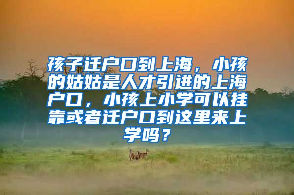 孩子迁户口到上海，小孩的姑姑是人才引进的上海户口，小孩上小学可以挂靠或者迁户口到这里来上学吗？