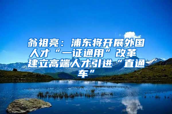 翁祖亮：浦东将开展外国人才“一证通用”改革 建立高端人才引进“直通车”