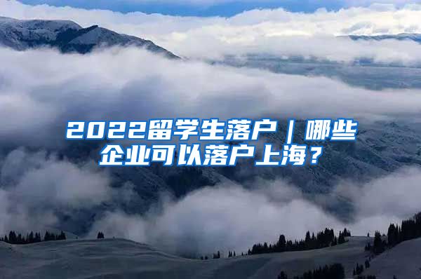 2022留学生落户｜哪些企业可以落户上海？