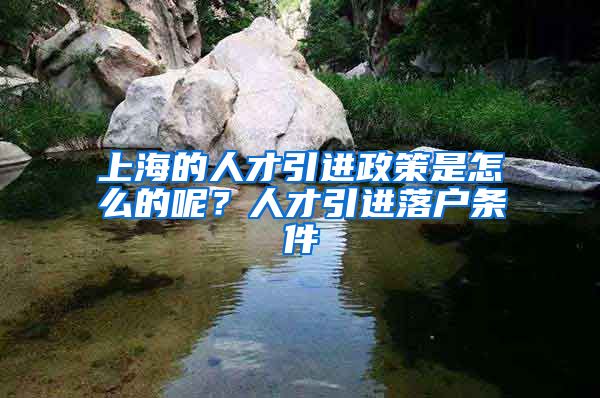 上海的人才引进政策是怎么的呢？人才引进落户条件