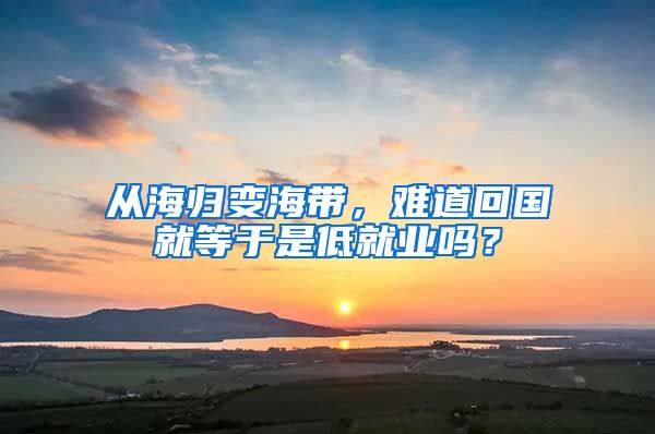 从海归变海带，难道回国就等于是低就业吗？