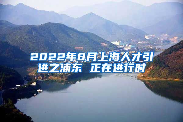 2022年8月上海人才引进之浦东 正在进行时