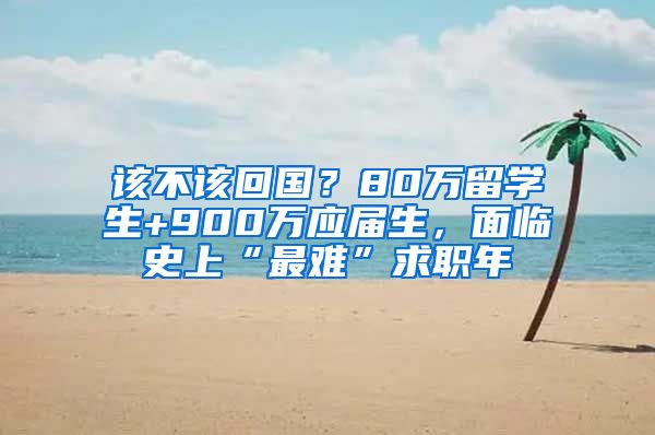 该不该回国？80万留学生+900万应届生，面临史上“最难”求职年