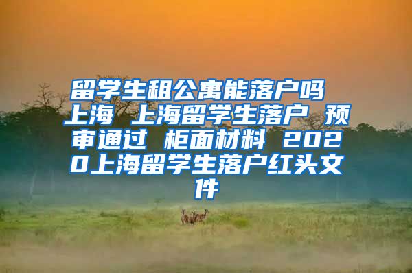 留学生租公寓能落户吗 上海 上海留学生落户 预审通过 柜面材料 2020上海留学生落户红头文件