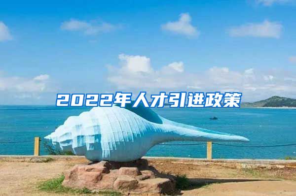 2022年人才引进政策