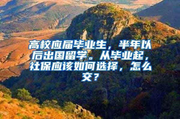 高校应届毕业生，半年以后出国留学。从毕业起，社保应该如何选择，怎么交？