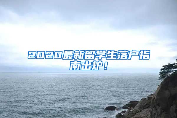 2020最新留学生落户指南出炉！