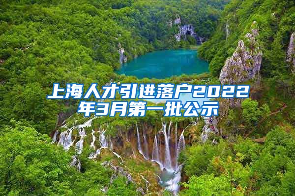 上海人才引进落户2022年3月第一批公示