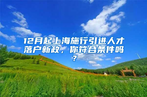 12月起上海施行引进人才落户新政，你符合条件吗？