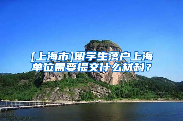 [上海市]留学生落户上海单位需要提交什么材料？