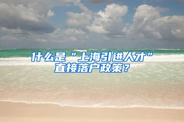 什么是“上海引进人才”直接落户政策？