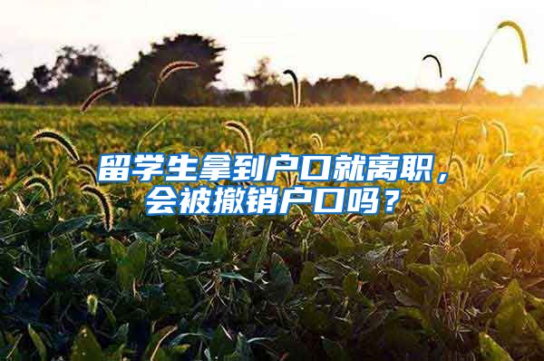 留学生拿到户口就离职，会被撤销户口吗？