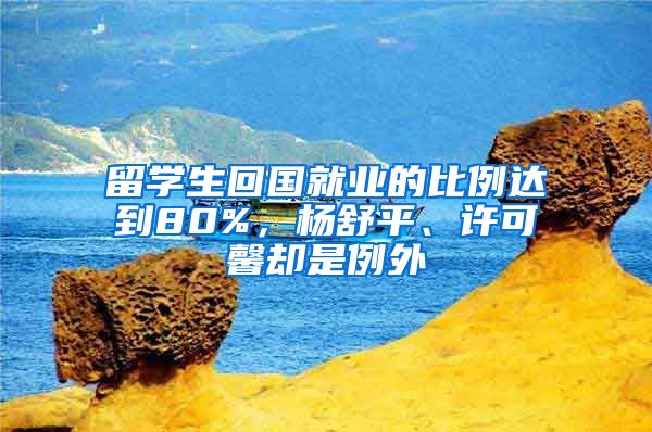 留学生回国就业的比例达到80%，杨舒平、许可馨却是例外