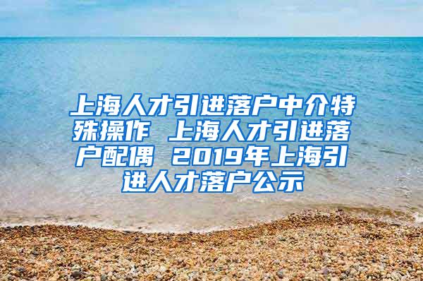 上海人才引进落户中介特殊操作 上海人才引进落户配偶 2019年上海引进人才落户公示