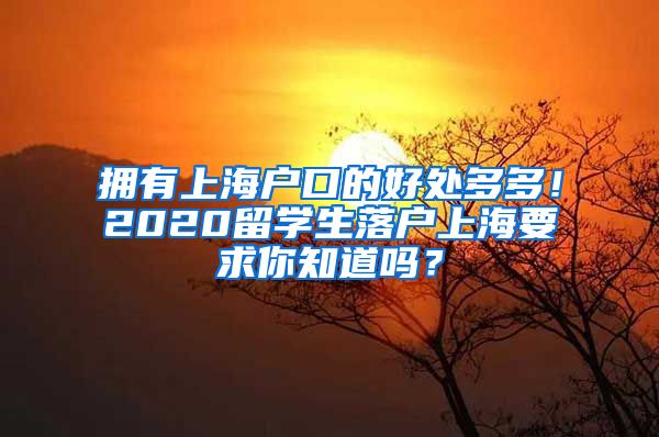 拥有上海户口的好处多多！2020留学生落户上海要求你知道吗？