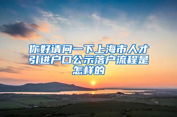 你好请问一下上海市人才引进户口公示落户流程是怎样的