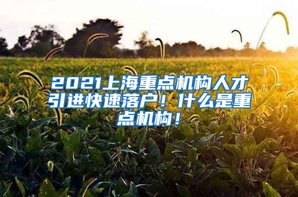 2021上海重点机构人才引进快速落户！什么是重点机构！