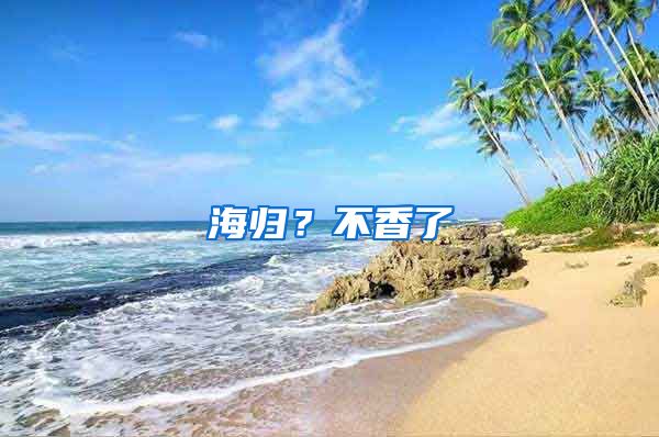 海归？不香了