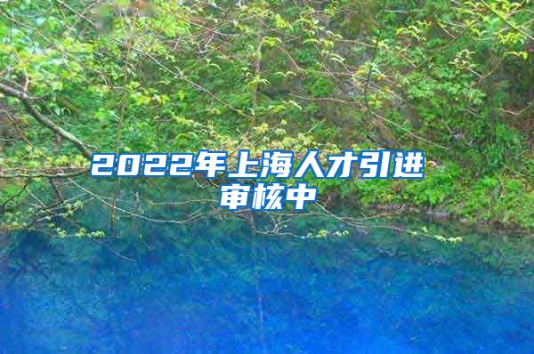 2022年上海人才引进 审核中