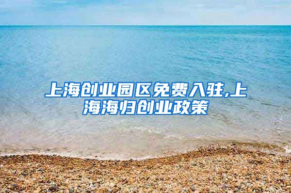 上海创业园区免费入驻,上海海归创业政策