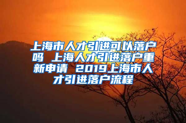 上海市人才引进可以落户吗 上海人才引进落户重新申请 2019上海市人才引进落户流程