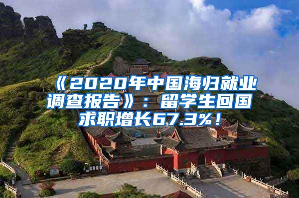 《2020年中国海归就业调查报告》：留学生回国求职增长67.3%！