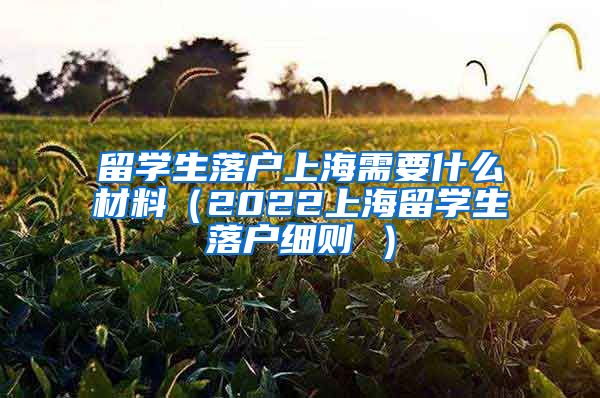 留学生落户上海需要什么材料（2022上海留学生落户细则 ）